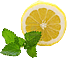 Lemon & Mint Tea